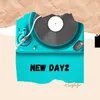 About New Dayz Song