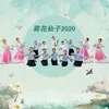 荷花仙子2020 伴奏