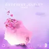 Different Journey