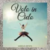 Volo in cielo