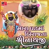 About Mara Ghat Ma Birajta Shreenathji Song