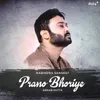About Prano Bhoriye Song