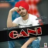 About Gani Song