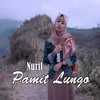 About Pamit Lungo Song