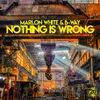 Nothing Is Wrong Sashman Remix Edit