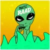 Raad