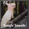 Jungle Sounds