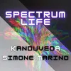 About Spectrum Life Radio Version Song