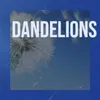 Dandelions