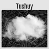Tushuy