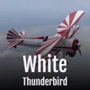 White Thunderbird