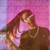 About Погнали пацы Song