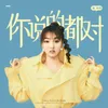 About 你说的都对 Song