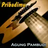 About Pribadimu Song