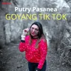 Goyang Tik Tok