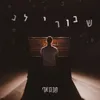 About שבורי לב Song