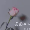 About 窈窕淑女 Song