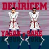 About Deliricem Song