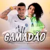 About Gamadão Song