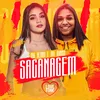 About Sacanagem Song