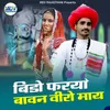 About Bido Fariyo Bavan Veero Maay Song