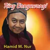 About Ring Banyuwangi Song