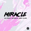 About Miracle Radio Mix Song