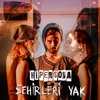 About Şehirleri Yak Song