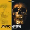 Solitary Reaper Instrumental Version