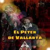 About El Peter de Vallarta Song