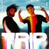 About Trip Song