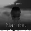 About Natubu Song