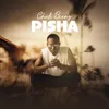 About Pisha Song