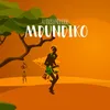 About Mdundiko Song