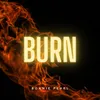 Burn Ellie Goulding Cover