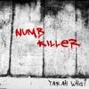 About Numb Killer Song