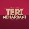 About Teri Meharbani Song