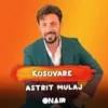 About Kosovare Song