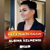 About Vjet e mija po kalojn Song