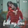 About Feel My Love Song