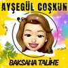 About Baksana Talihe Song
