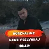 About Adrenaline Song