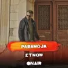 About Paranoja Song