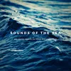 Beyond the Surface Deep Sea Sounds for Sleep and Meditation