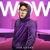 About Wow Song