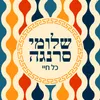 About כל חיי Song