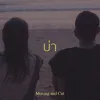 About บ่า Song