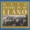 Hato Grande de Mi Llano