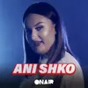 About Ani shko Song
