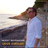 About Savur Euroları Song